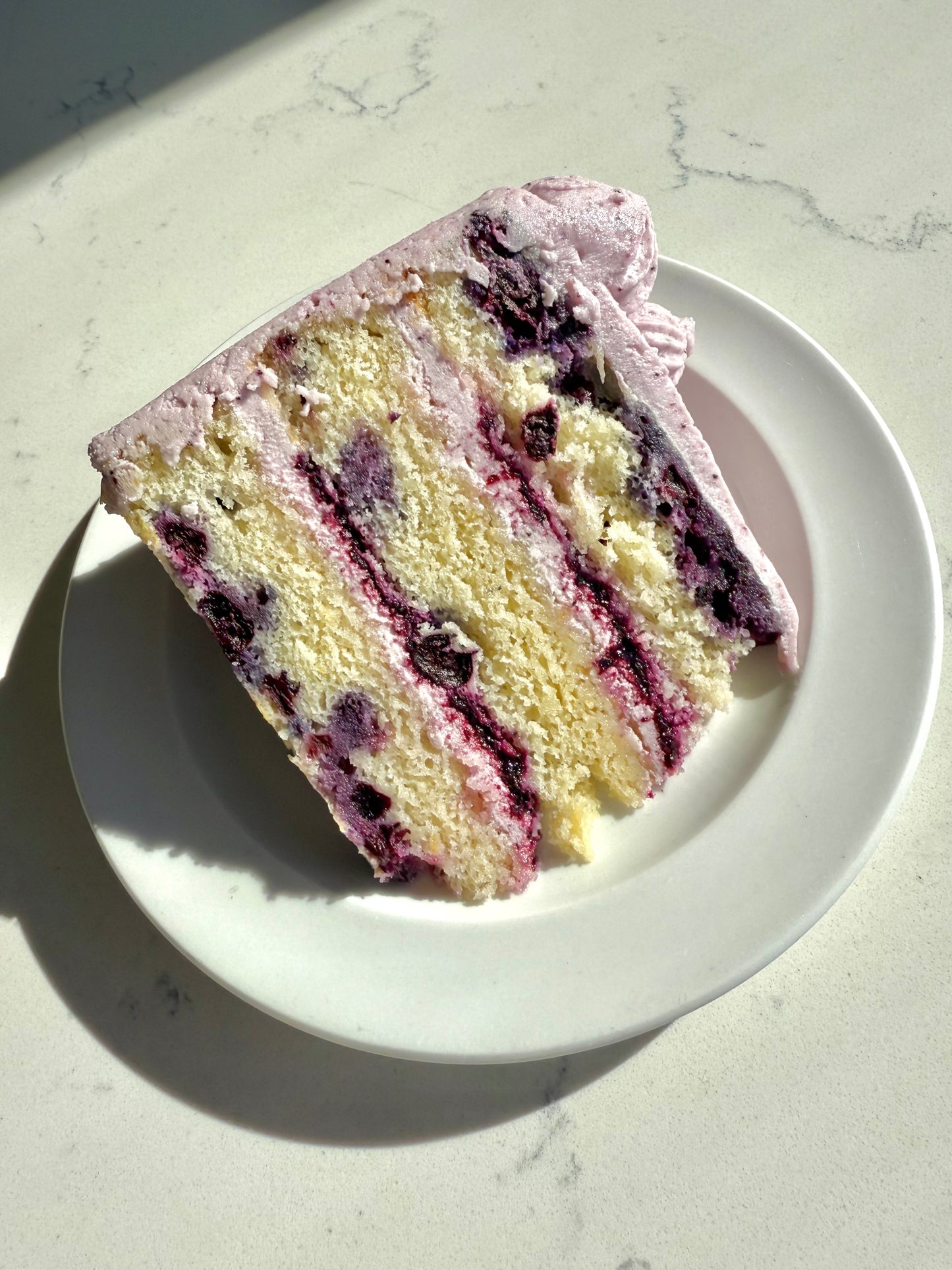 Blueberry Lemon Cake Slice