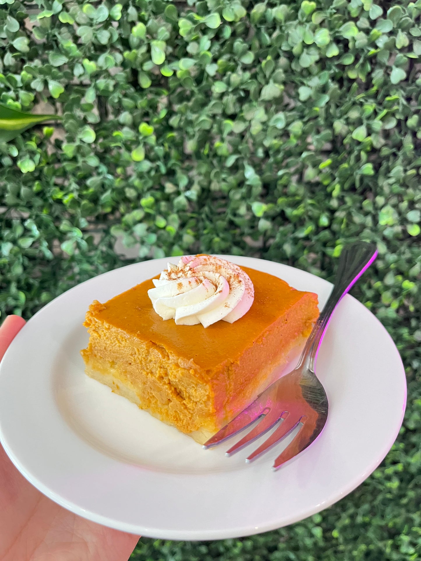 Pumpkin Pie Bar