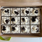 Cookies and Cream Pie Bar Party Platter