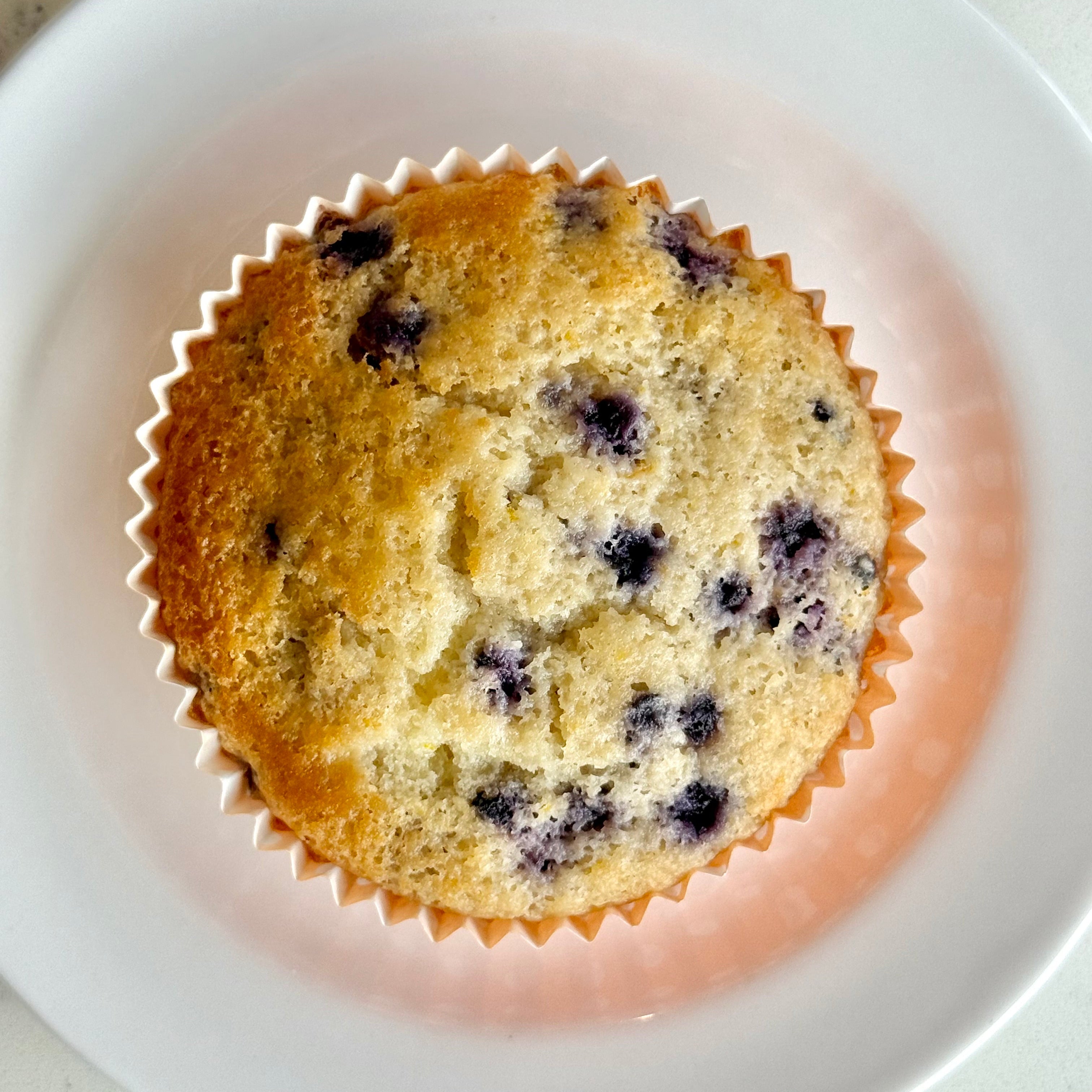 Orange Blueberry Muffin Top tampa bakery coffee tampa desserts 