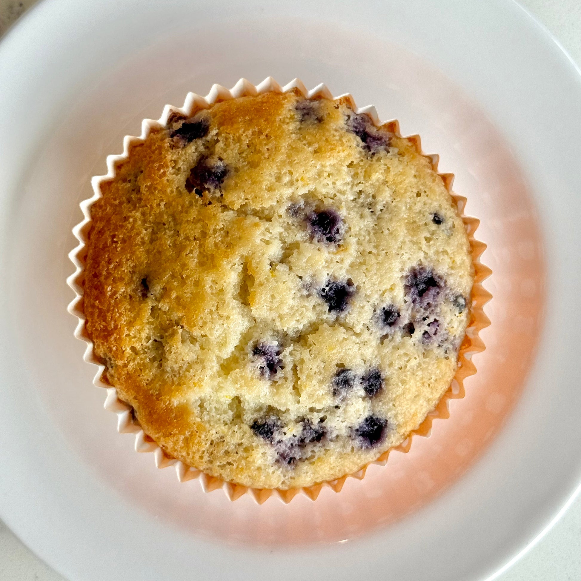 Orange Blueberry Muffin Top tampa bakery coffee tampa desserts 