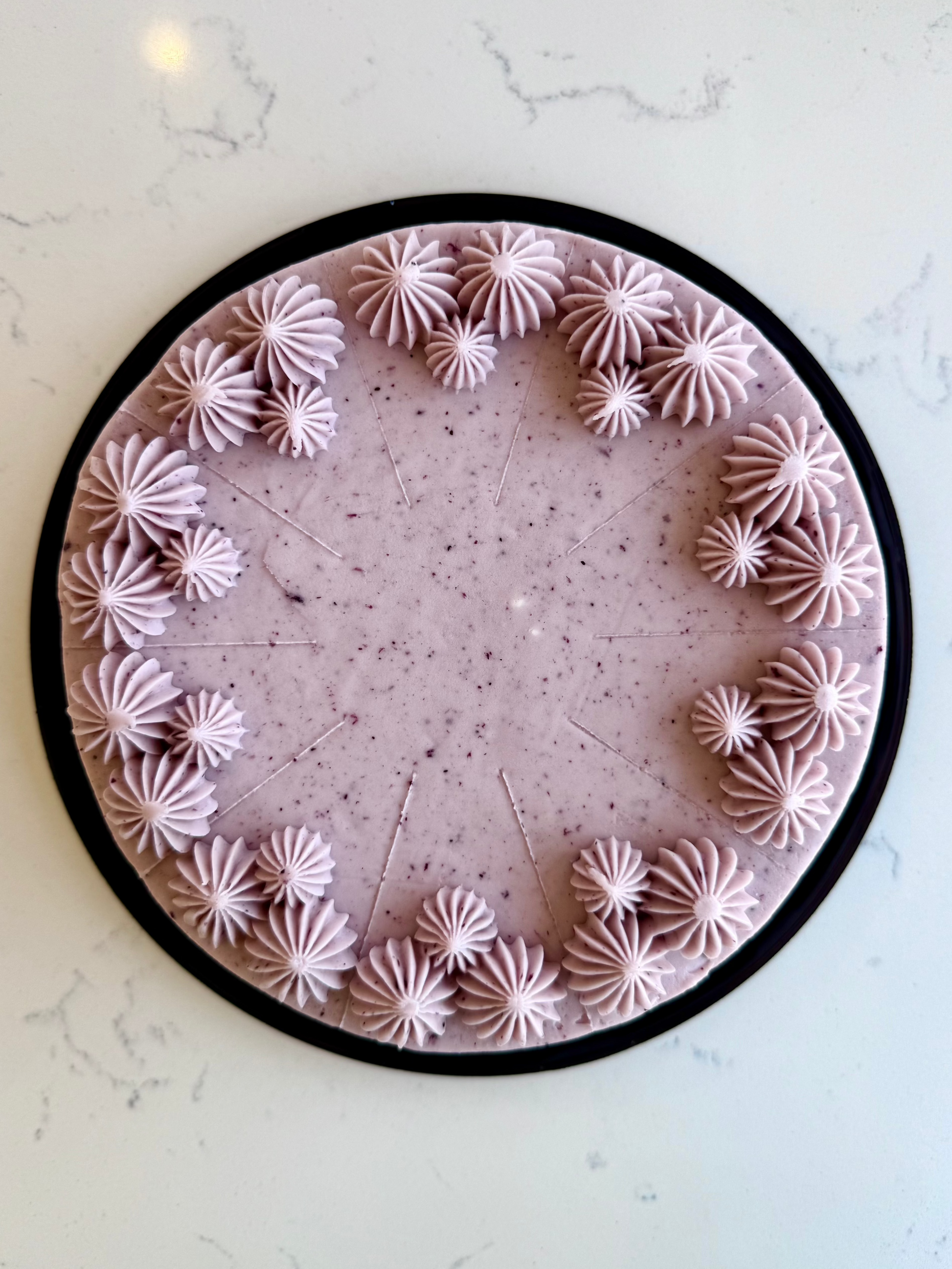 Whole Blueberry Lemon Cake